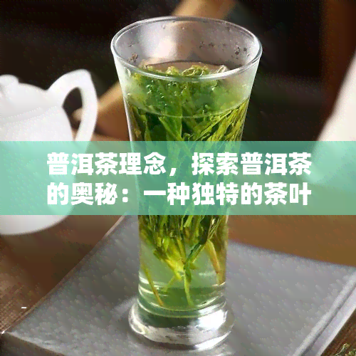 普洱茶理念，探索普洱茶的奥秘：一种独特的茶叶理念