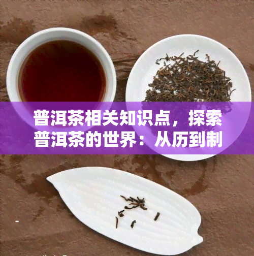 普洱茶相关知识点，探索普洱茶的世界：从历到制作过程的全面解析