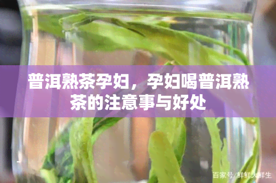 普洱熟茶孕妇，孕妇喝普洱熟茶的注意事与好处