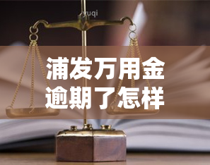 浦发万用金逾期了怎样能跟银行协商分期，浦发万用金逾期后，如何与银行协商分期还款？