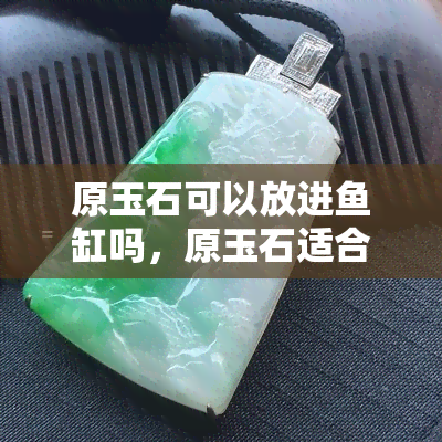 原玉石可以放进缸吗，原玉石适合放入缸吗？探讨其可能的影响