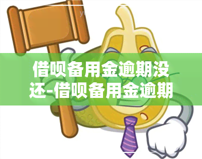 借呗备用金逾期没还-借呗备用金逾期没还会怎么样