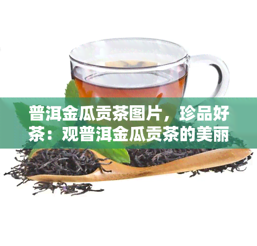 普洱金瓜贡茶图片，珍品好茶：观普洱金瓜贡茶的美丽图片