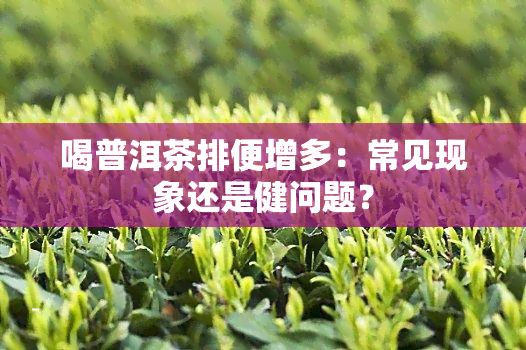 喝普洱茶排便增多：常见现象还是健问题？