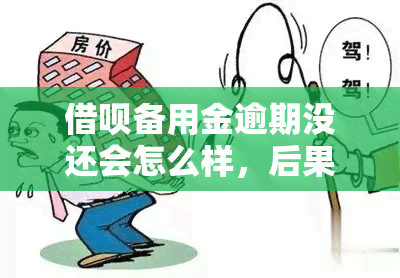 借呗备用金逾期没还会怎么样，后果严重！借呗备用金逾期未还的可能影响