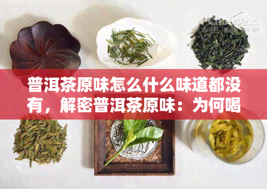 普洱茶原味怎么什么味道都没有，解密普洱茶原味：为何喝起来什么味道都没有？