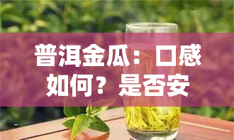 普洱金瓜：口感如何？是否安全饮用？