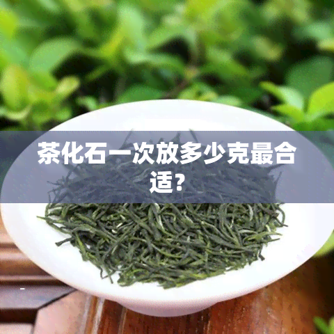 茶化石一次放多少克最合适？