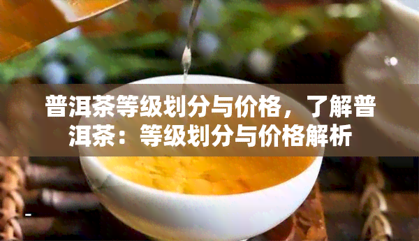 普洱茶等级划分与价格，了解普洱茶：等级划分与价格解析