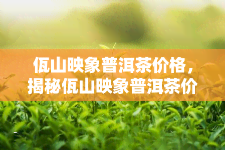 佤山映象普洱茶价格，揭秘佤山映象普洱茶价格，让你买得放心！