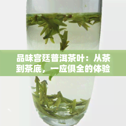 品味宫廷普洱茶叶：从茶到茶底，一应俱全的体验