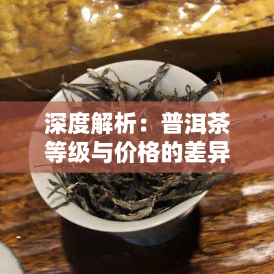 深度解析：普洱茶等级与价格的差异及其原因