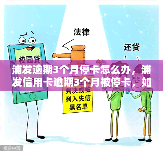 浦发逾期3个月停卡怎么办，浦发信用卡逾期3个月被停卡，如何解决？