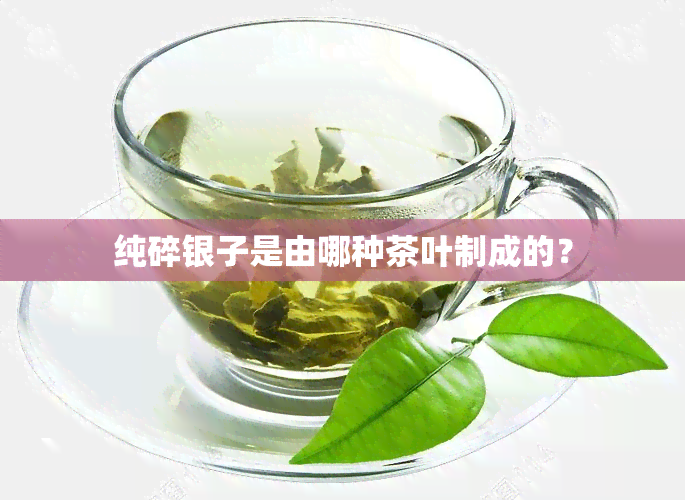 纯碎银子是由哪种茶叶制成的？