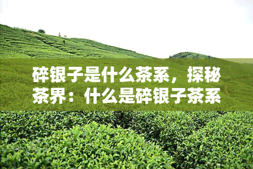 碎银子是什么茶系，探秘茶界：什么是碎银子茶系？