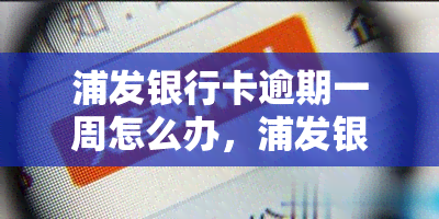 浦发银行卡逾期一周怎么办，浦发银行卡逾期一周：应该如何处理？