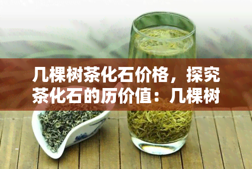 几棵树茶化石价格，探究茶化石的历价值：几棵树茶化石的价格及背后故事