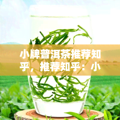 小牌普洱茶推荐知乎，推荐知乎：小牌普洱茶的评测与购买指南