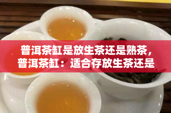 普洱茶缸是放生茶还是熟茶，普洱茶缸：适合存放生茶还是熟茶？