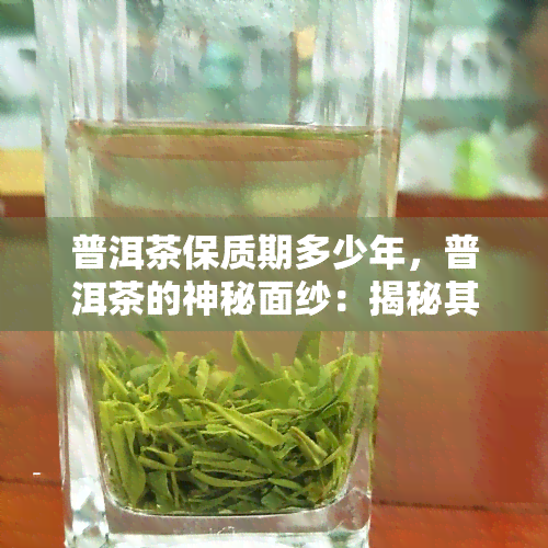 普洱茶保质期多少年，普洱茶的神秘面纱：揭秘其保质期有多长！