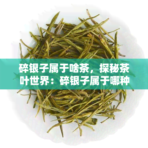 碎银子属于啥茶，探秘茶叶世界：碎银子属于哪种茶？