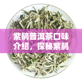 紫鹃普洱茶口味介绍，探秘紫鹃普洱茶的独特口感与风味