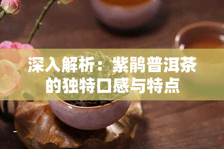 深入解析：紫鹃普洱茶的独特口感与特点