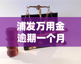 浦发万用金逾期一个月需全额还款及计算利息方式