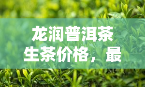 龙润普洱茶生茶价格，最新报价：龙润普洱茶生茶价格一览