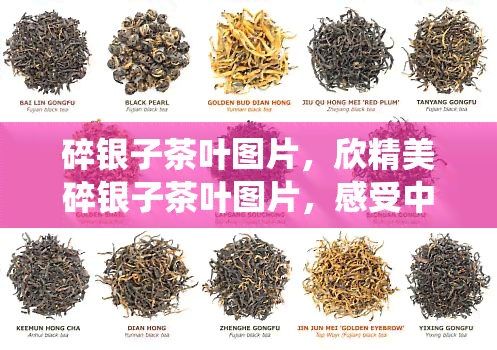 碎银子茶叶图片，欣精美碎银子茶叶图片，感受中国传统茶文化的魅力