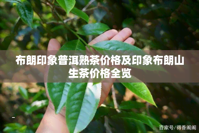 布朗印象普洱熟茶价格及印象布朗山生茶价格全览