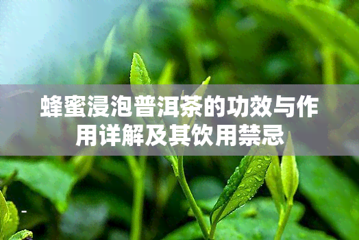 蜂蜜浸泡普洱茶的功效与作用详解及其饮用禁忌