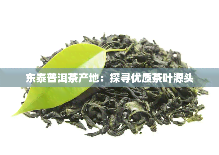 东泰普洱茶产地：探寻优质茶叶源头