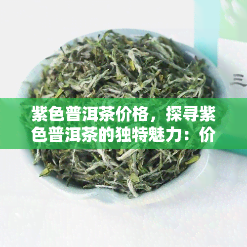 紫色普洱茶价格，探寻紫色普洱茶的独特魅力：价格解析与品鉴指南