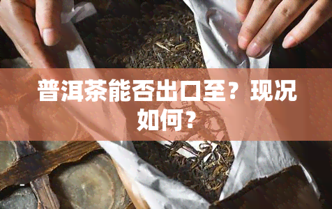 普洱茶能否出口至？现况如何？