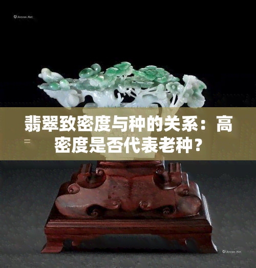 翡翠致密度与种的关系：高密度是否代表老种？