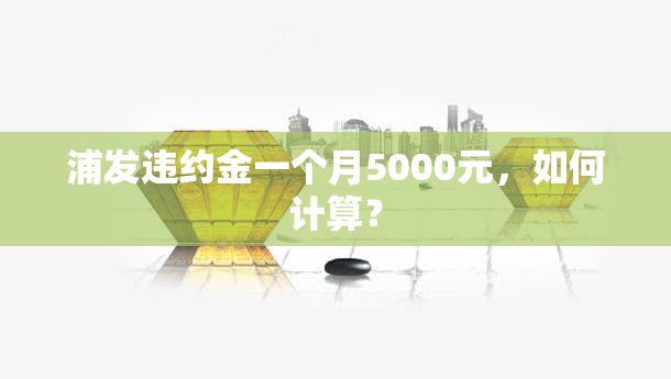 浦发违约金一个月5000元，如何计算？