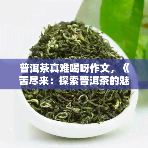 普洱茶真难喝呀作文，《苦尽来：探索普洱茶的魅力》