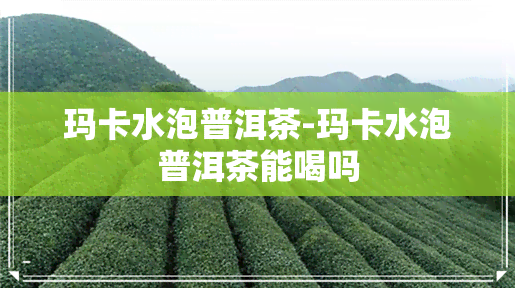 玛卡水泡普洱茶-玛卡水泡普洱茶能喝吗