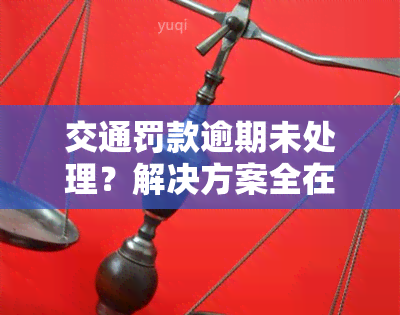 交通罚款逾期未处理？解决方案全在这里！