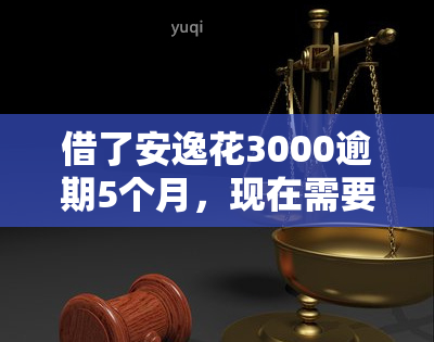 借了安逸花3000逾期5个月，现在需要归还多少？