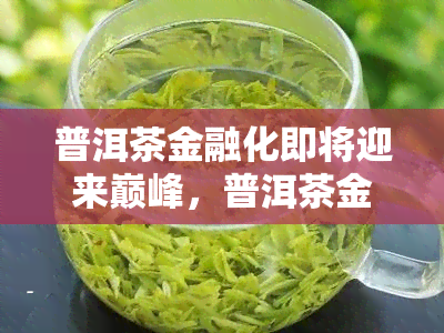 普洱茶金融化即将迎来巅峰，普洱茶金融化：巅峰在即！