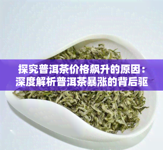 探究普洱茶价格飙升的原因：深度解析普洱茶暴涨的背后驱动因素