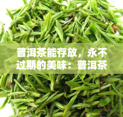 普洱茶能存放，永不过期的美味：普洱茶的长久保存方法