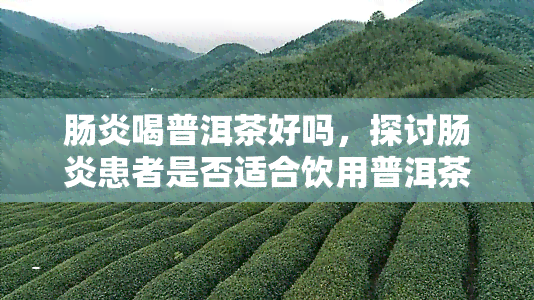 肠炎喝普洱茶好吗，探讨肠炎患者是否适合饮用普洱茶？