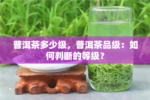 普洱茶多少级，普洱茶品级：如何判断的等级？