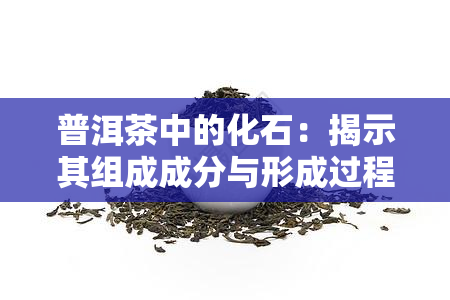 普洱茶中的化石：揭示其组成成分与形成过程