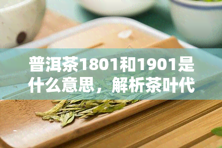 普洱茶1801和1901是什么意思，解析茶叶代码：普洱茶1801与1901的含义