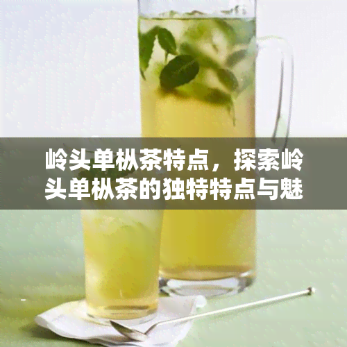 岭头单枞茶特点，探索岭头单枞茶的独特特点与魅力