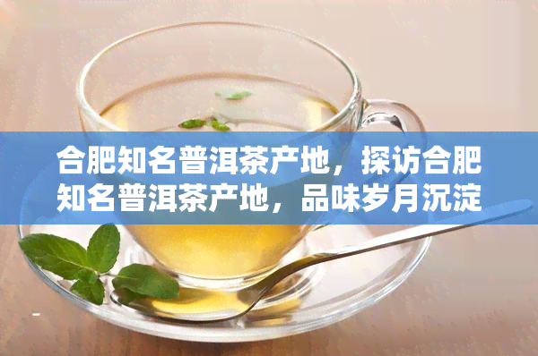 合肥知名普洱茶产地，探访合肥知名普洱茶产地，品味岁月沉淀的茶香